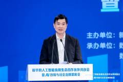 新华网副总裁张芮宁细致解读了其四大焦点能力